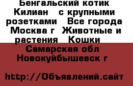 Бенгальский котик Килиан , с крупными розетками - Все города, Москва г. Животные и растения » Кошки   . Самарская обл.,Новокуйбышевск г.